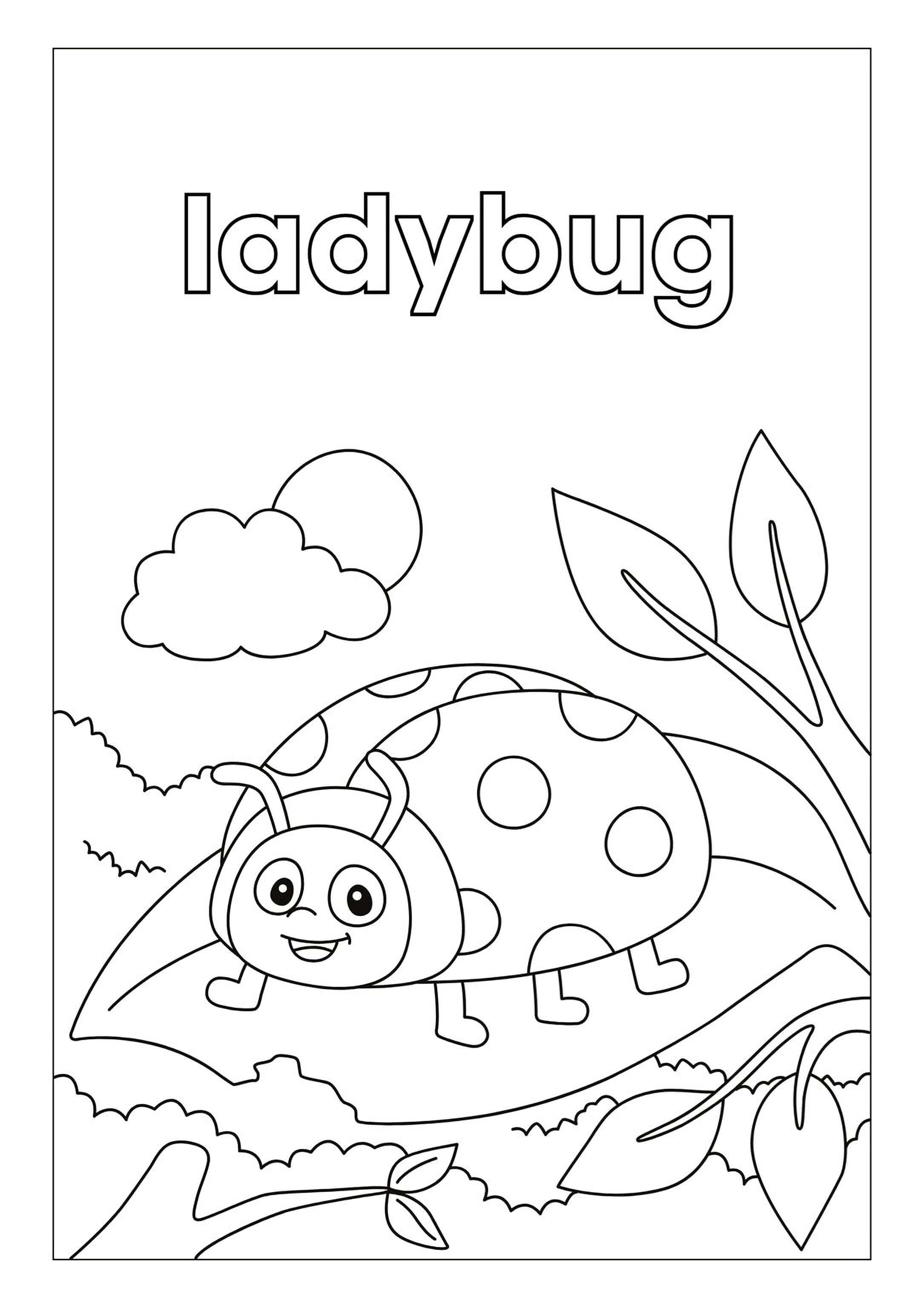 Animal Habitats Coloring Pages - Printable PDF Kids Animal Coloring Book, Learn Animals Homes - Mashiro's Mashup