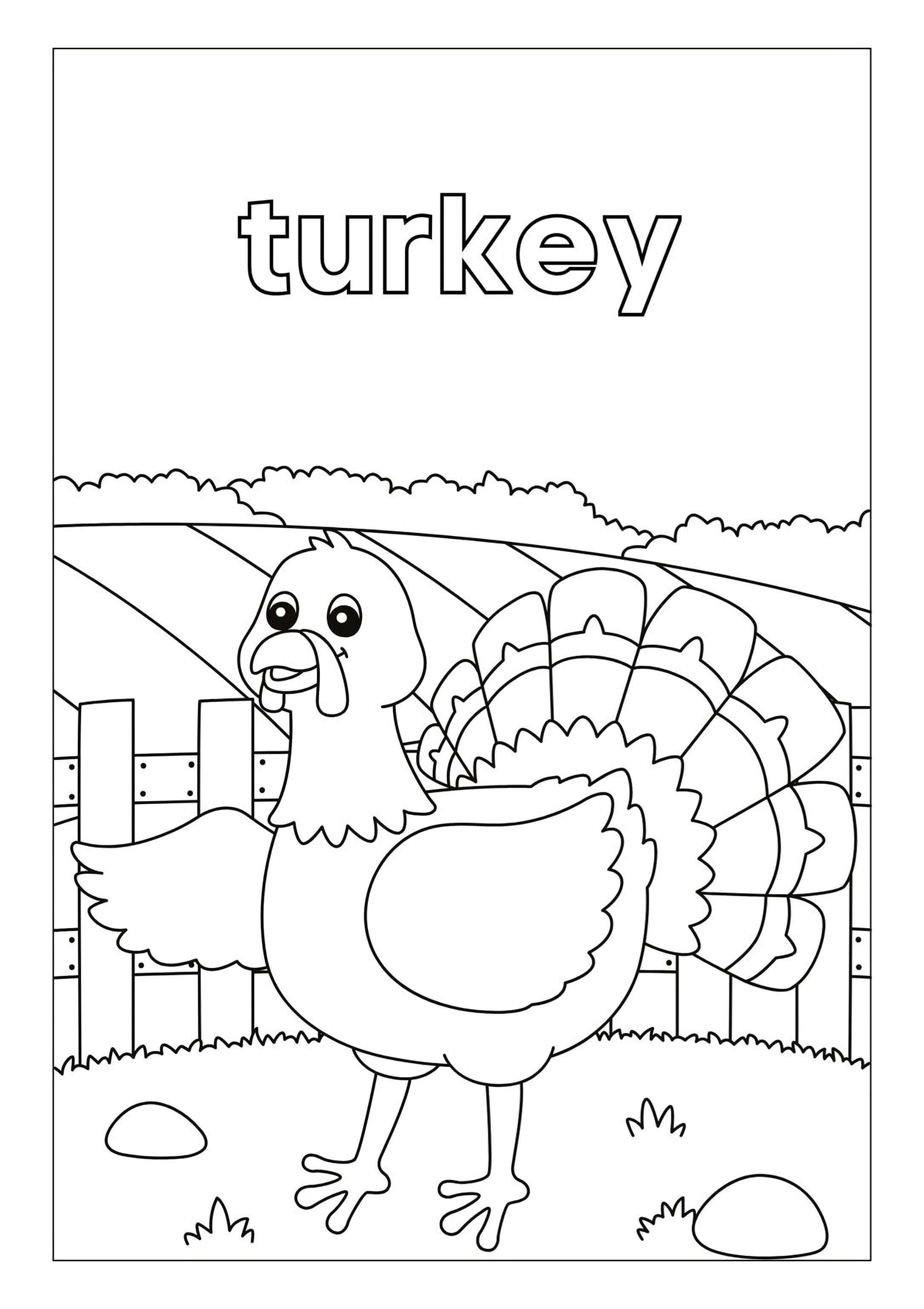Animal Habitats Coloring Pages - Printable PDF Kids Animal Coloring Book, Learn Animals Homes - Mashiro's Mashup