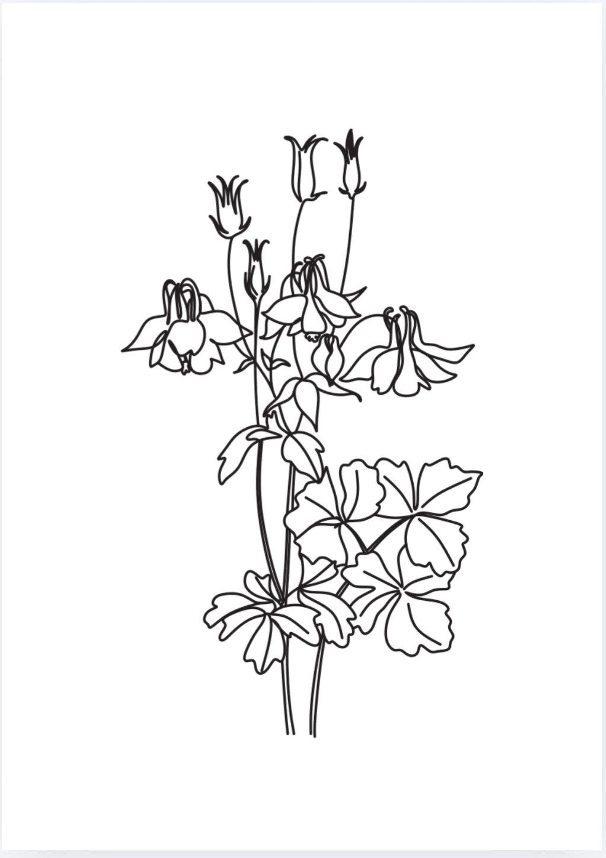 Floral Coloring Book – Easy Flower Designs | Printable Relaxation Pages - Mashiro's Mashup